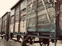 A Cattle Car from&nbsp;Berlin
